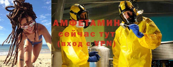 ГАЛЛЮЦИНОГЕННЫЕ ГРИБЫ Алзамай